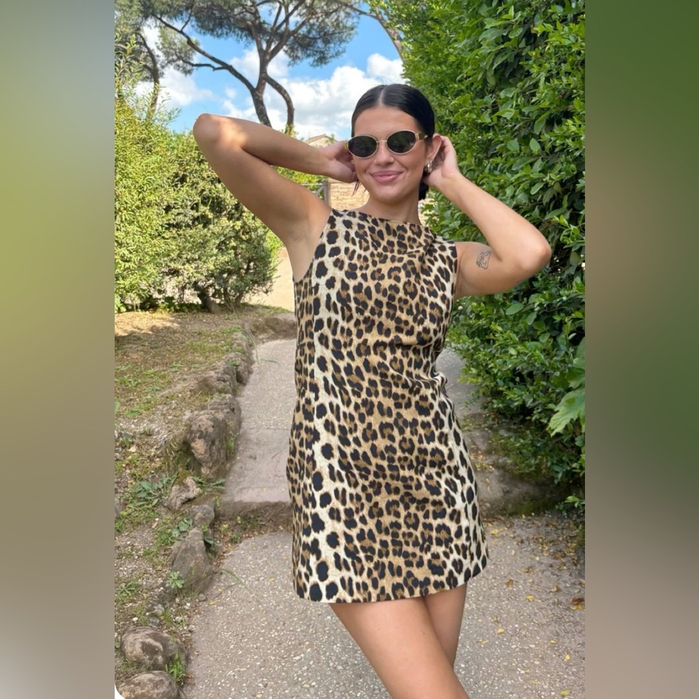 Zara Leopard Print Dress